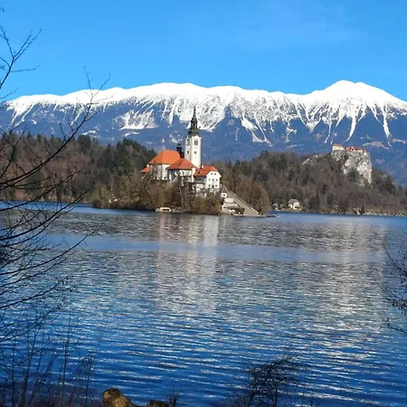 Appartement Mountain View Mojstrana